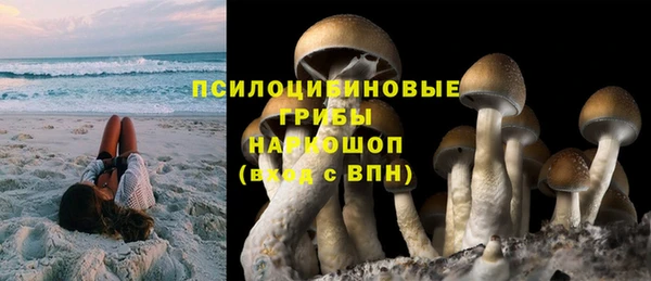 твердый Балахна