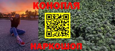 сатива Краснознаменск