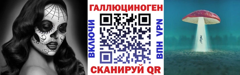 Псилоцибиновые грибы мицелий  mega как войти  Балтийск 