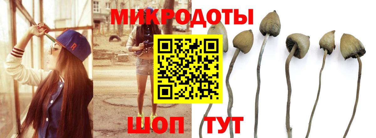 Галлюциногенные грибы Magic Shrooms  где найти наркотики  Балтийск  Псилоцибиновые грибы прущие грибы  Вход с VPN 